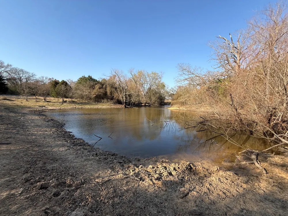 5 County Road 445 Fairfield, TX 75840