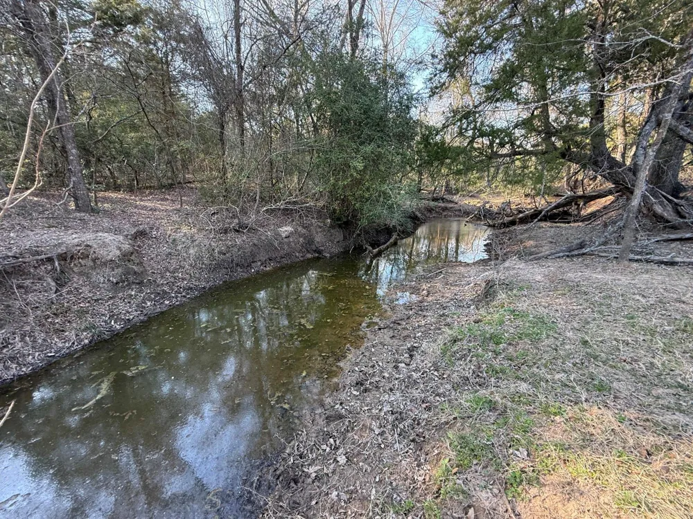 5 County Road 445 Fairfield, TX 75840