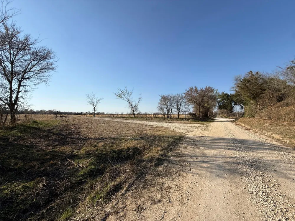 5 County Road 445 Fairfield, TX 75840