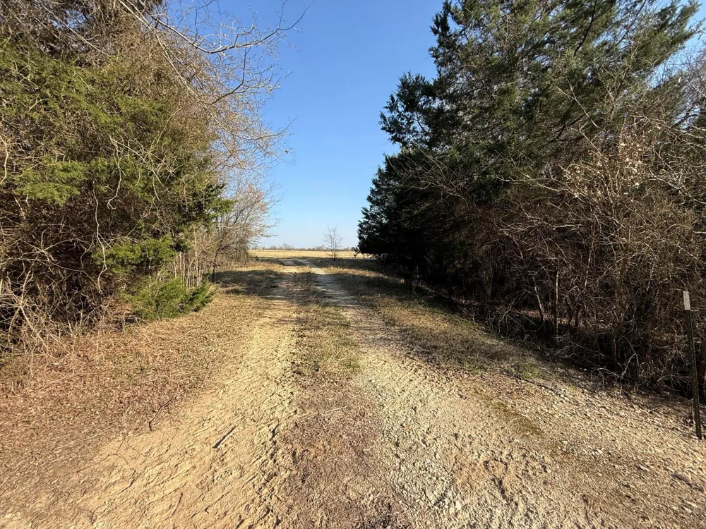 5 County Road 445 Fairfield, TX 75840