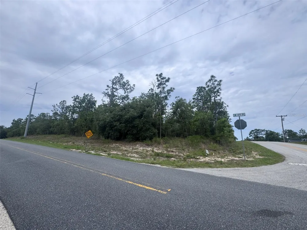 0 SW EGDEWATER BOULEVARD Dunnellon, FL 34431