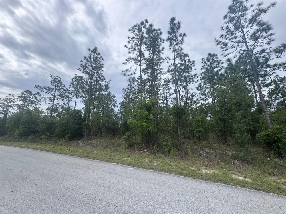 0 SW EGDEWATER BOULEVARD Dunnellon, FL 34431