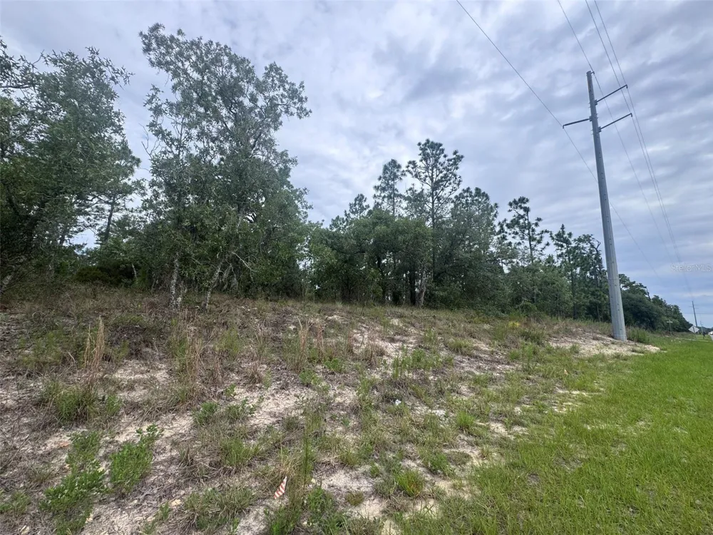 0 SW EGDEWATER BOULEVARD Dunnellon, FL 34431