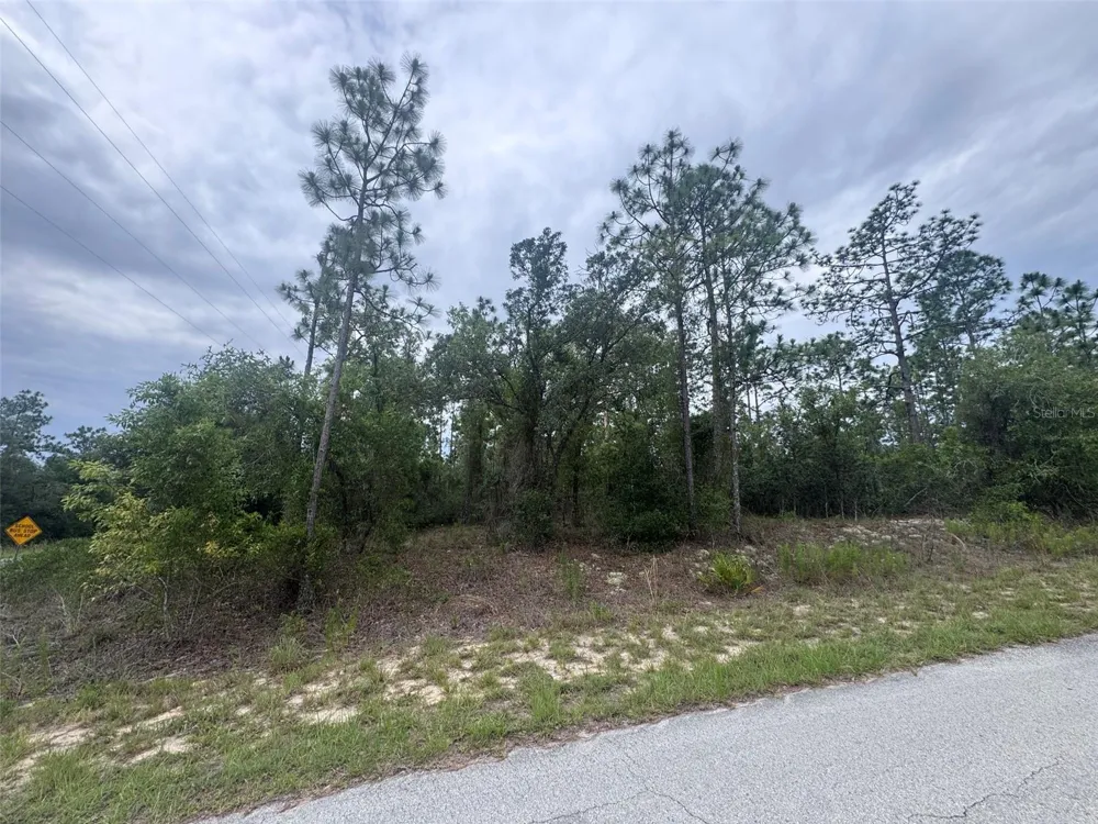 0 SW EGDEWATER BOULEVARD Dunnellon, FL 34431
