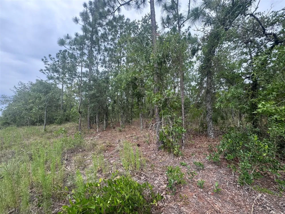 0 SW EGDEWATER BOULEVARD Dunnellon, FL 34431