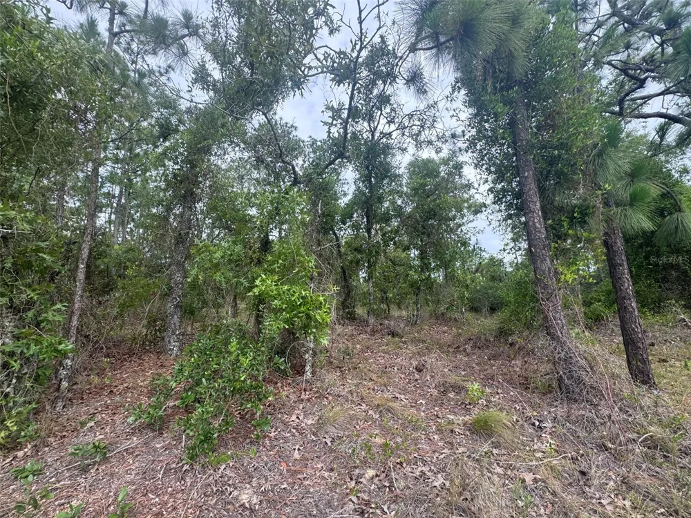 0 SW EGDEWATER BOULEVARD Dunnellon, FL 34431