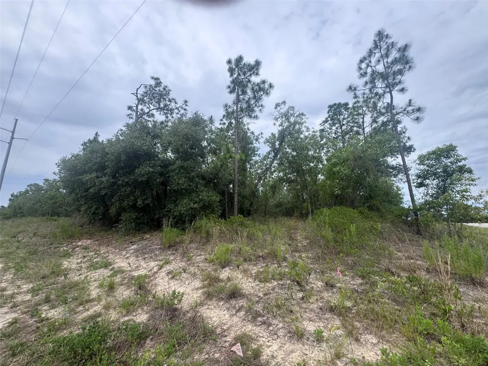 0 SW EGDEWATER BOULEVARD Dunnellon, FL 34431