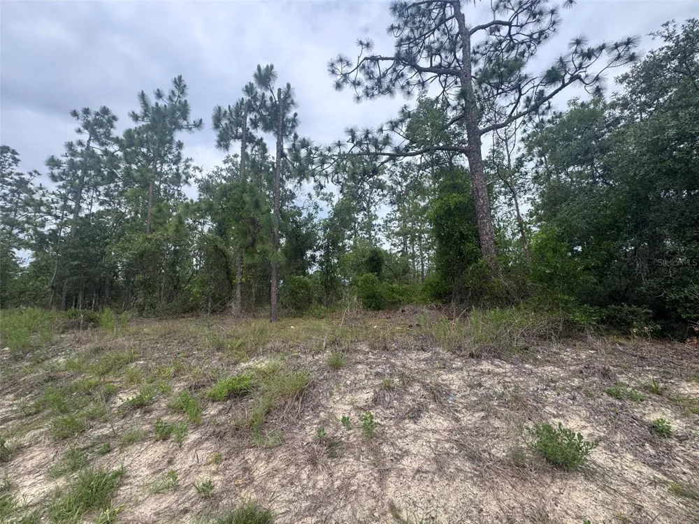 0 SW EGDEWATER BOULEVARD Dunnellon, FL 34431