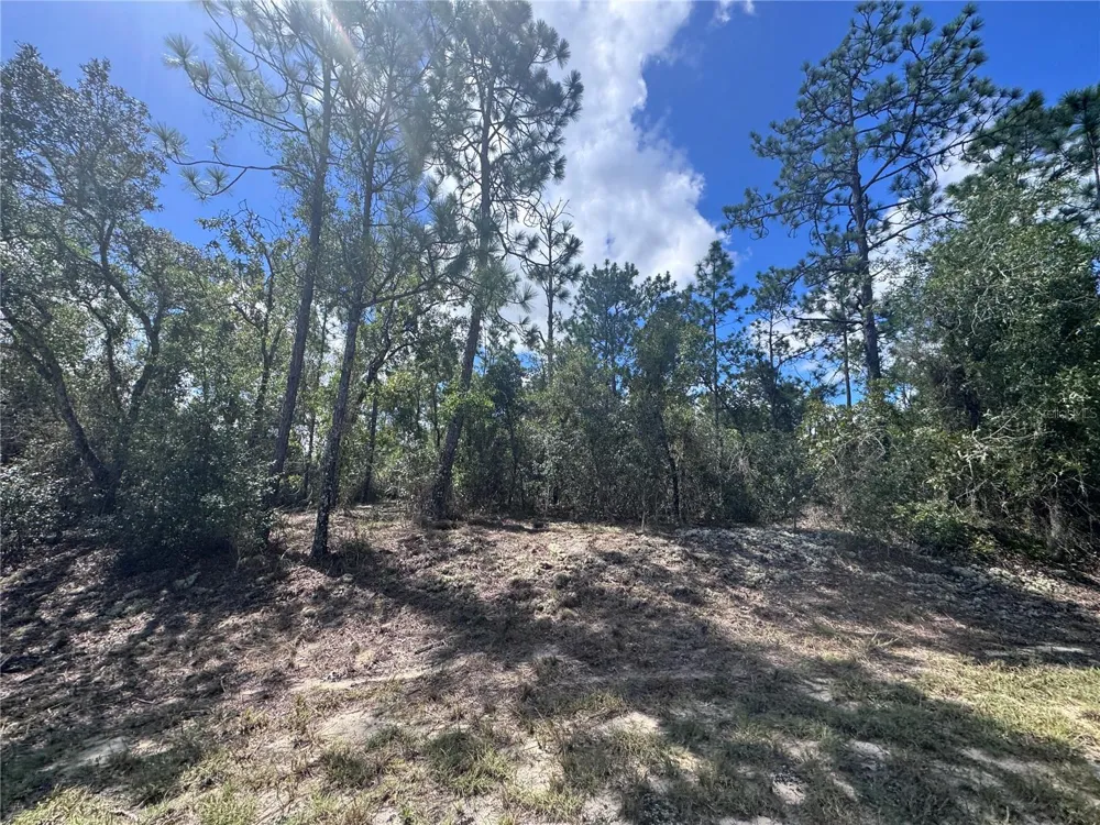 0 SW EGDEWATER BOULEVARD Dunnellon, FL 34431
