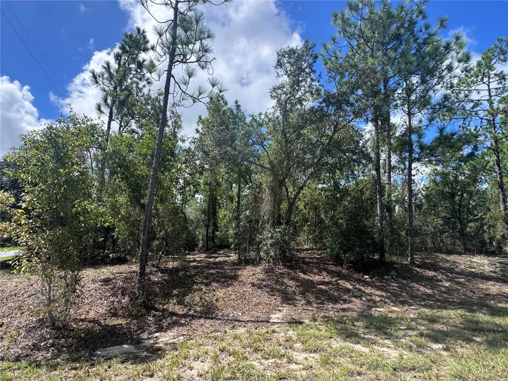 0 SW EGDEWATER BOULEVARD Dunnellon, FL 34431