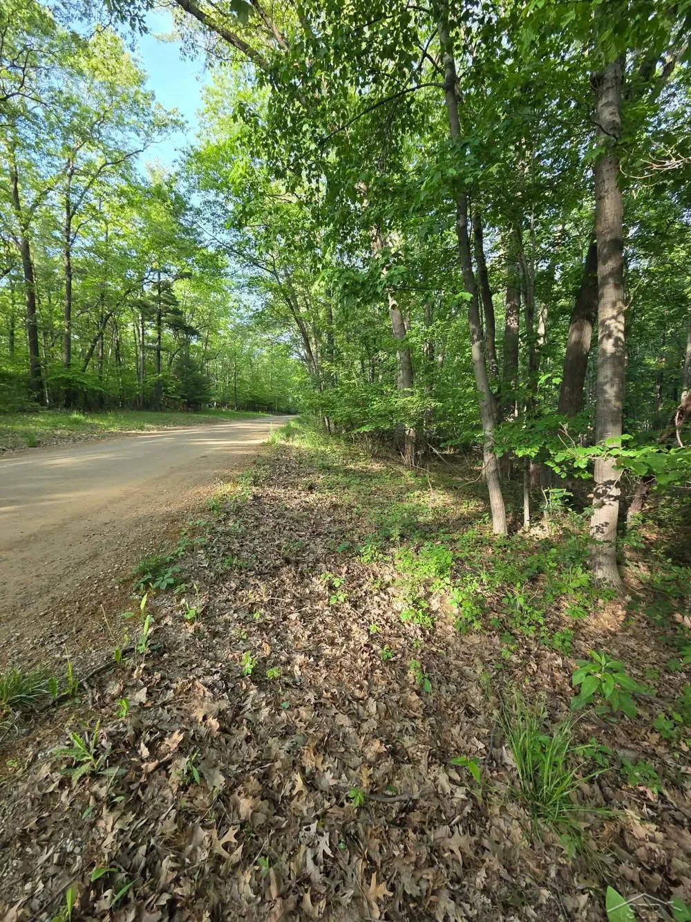 2531 Weaver Road Hume Township, MI 48467