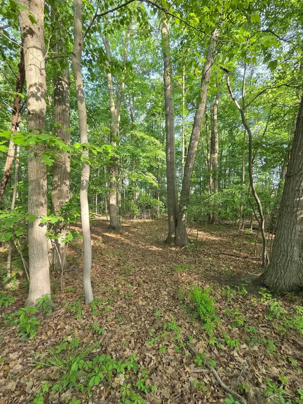 2531 Weaver Road Hume Township, MI 48467