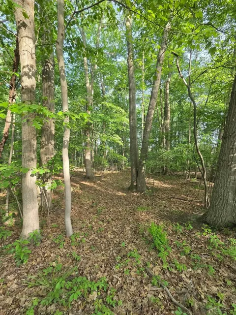 2531 Weaver Road