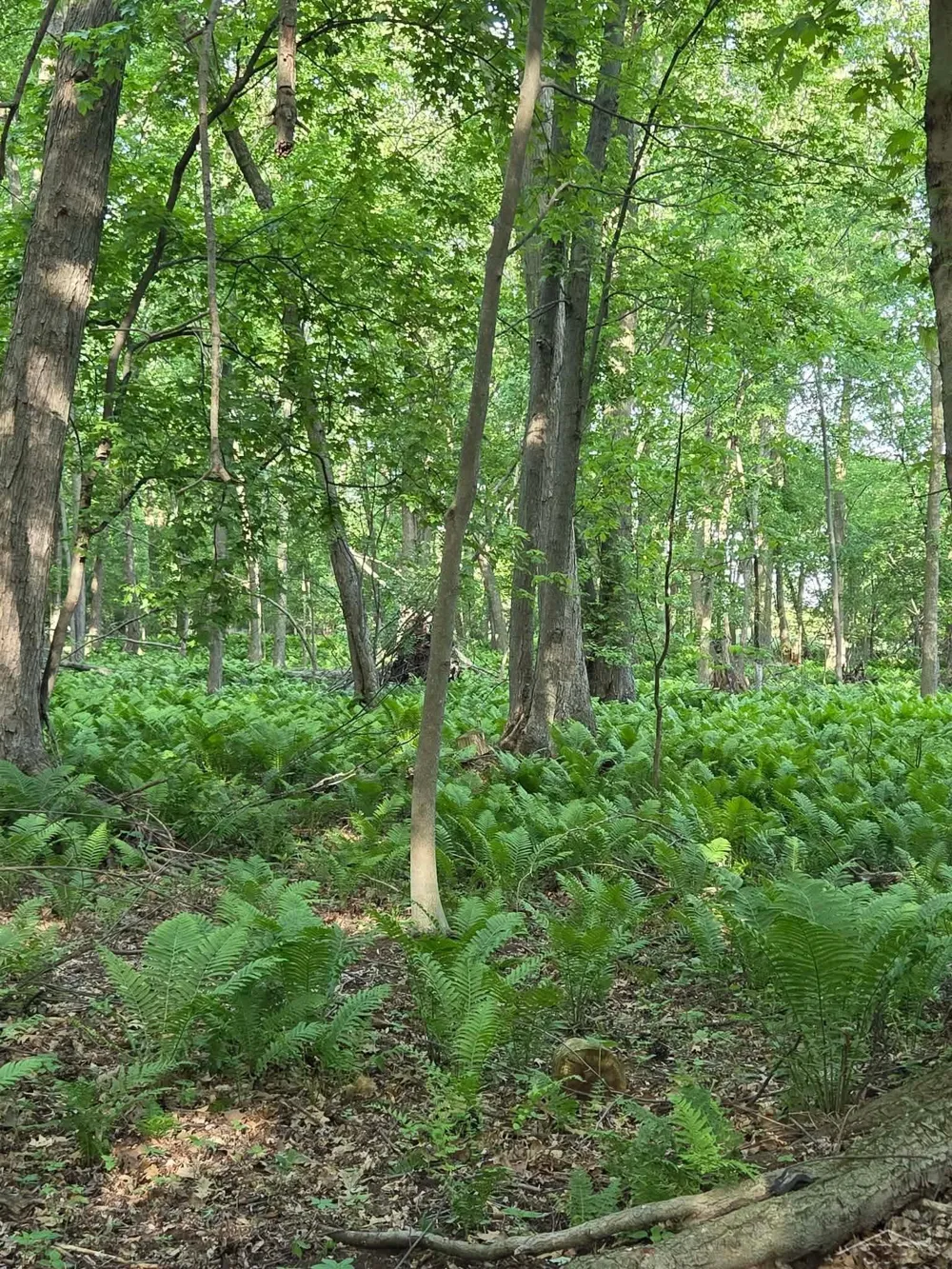2531 Weaver Road Hume Township, MI 48467