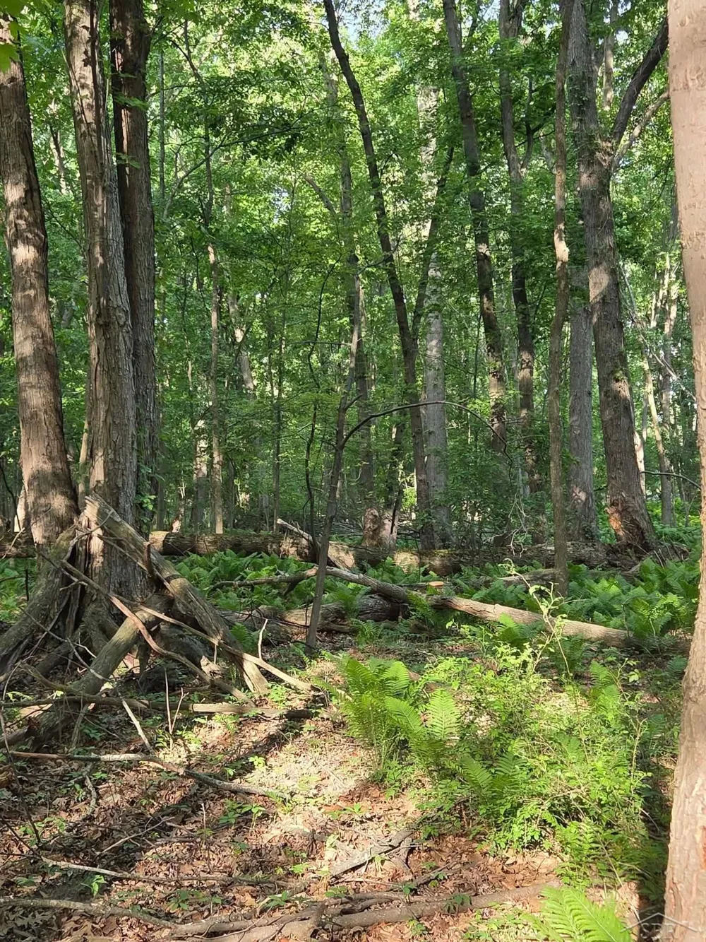 2531 Weaver Road Hume Township, MI 48467