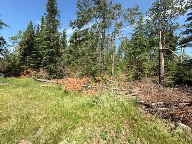 51215 Wildwood Road Cass Lake, MN 56633