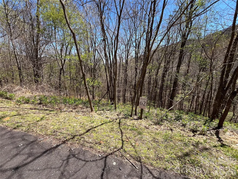 LOT 62 Bob Timberlake Drive #62 Boone, NC 28607