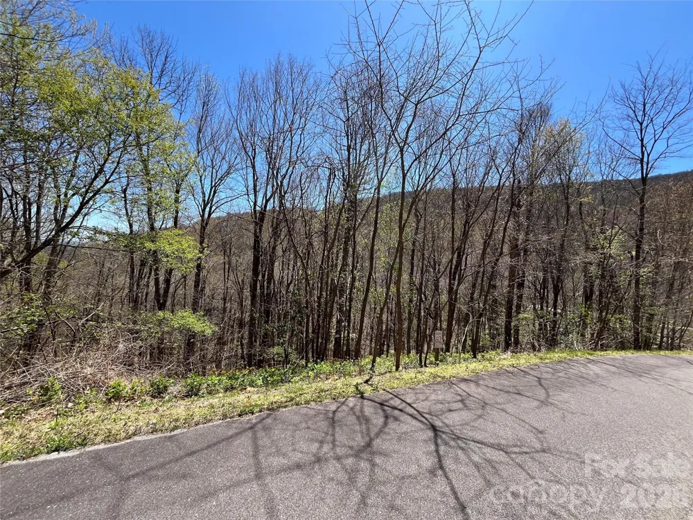 LOT 62 Bob Timberlake Drive #62 Boone, NC 28607