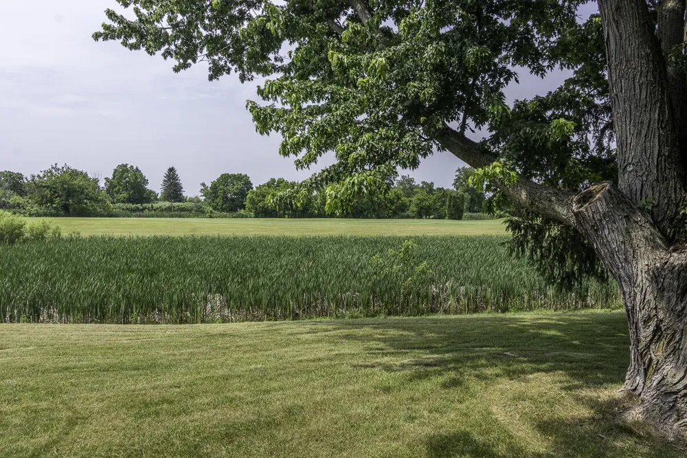 6125 W X Y AVENUE Schoolcraft, MI 49087