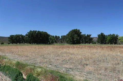 Shavano Valley Road