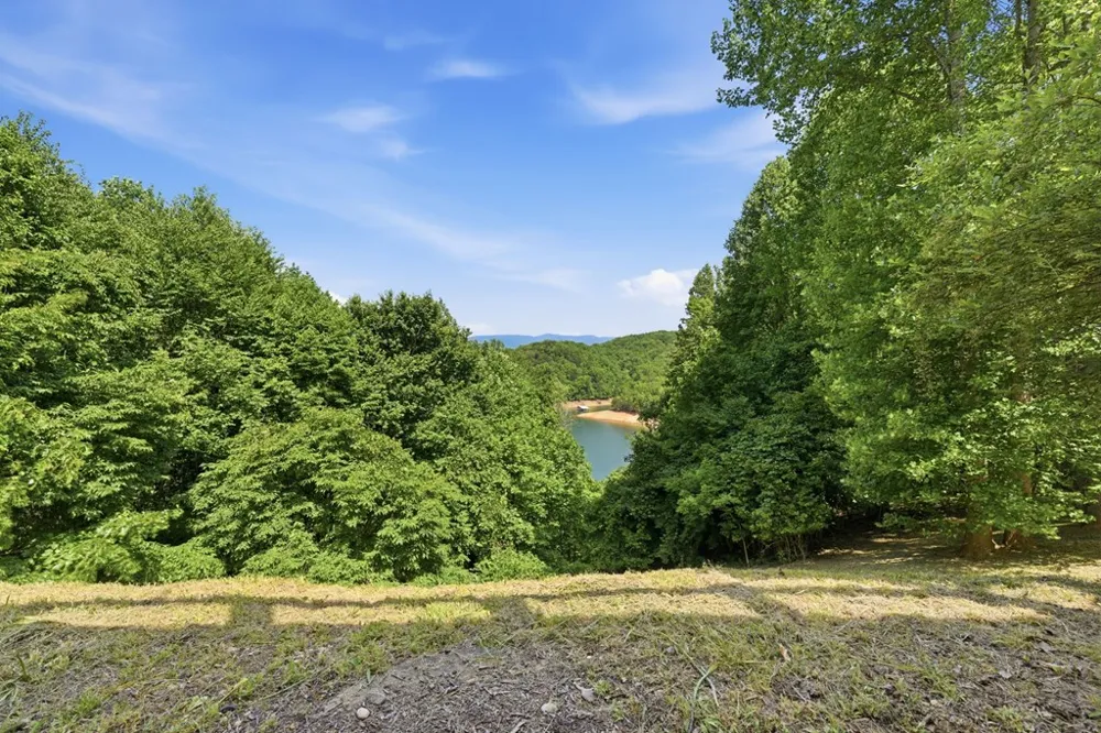 Eagles Way Bryson City, NC 28713