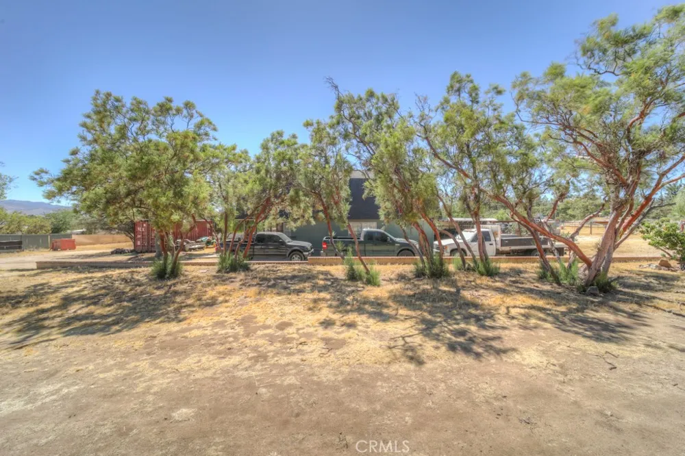 59145 Roger Anza, CA 92539
