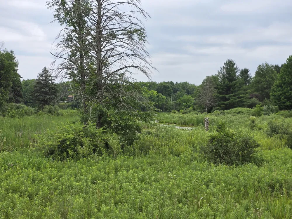 6172 Lake Road Barryton, MI 49305
