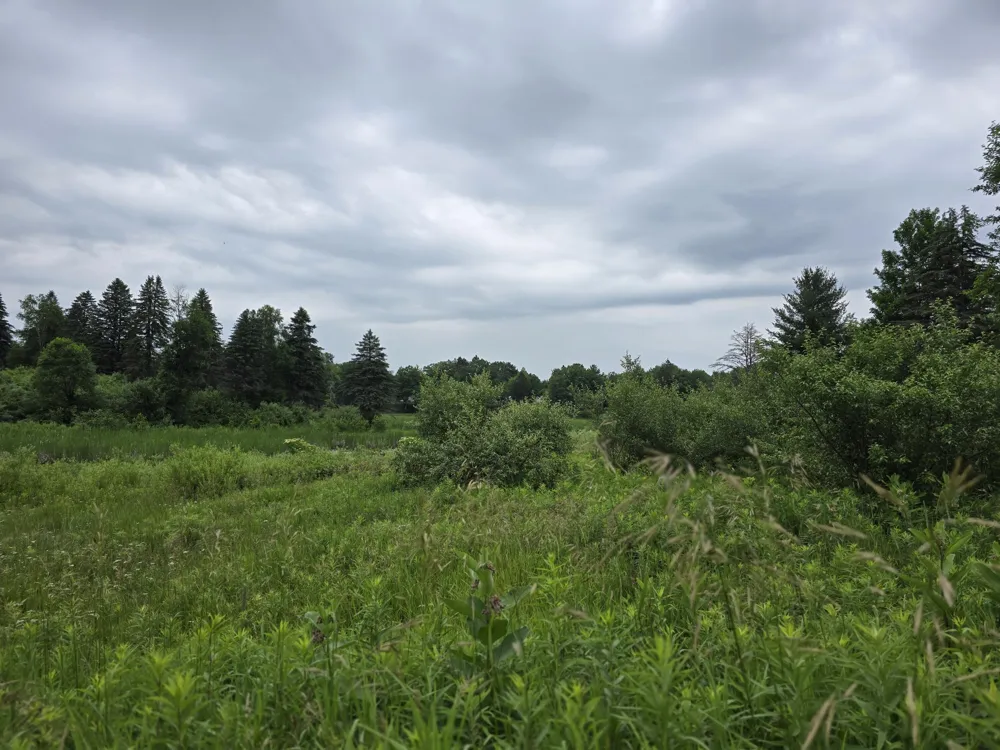 6172 Lake Road Barryton, MI 49305