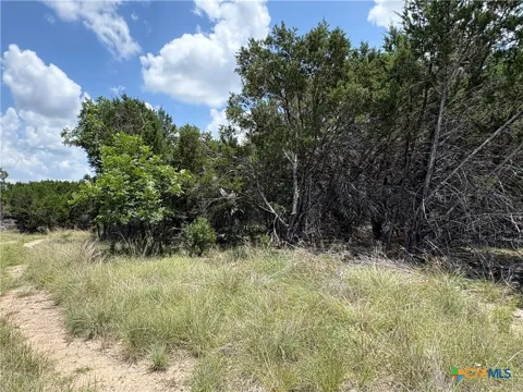 317 County Road 3062