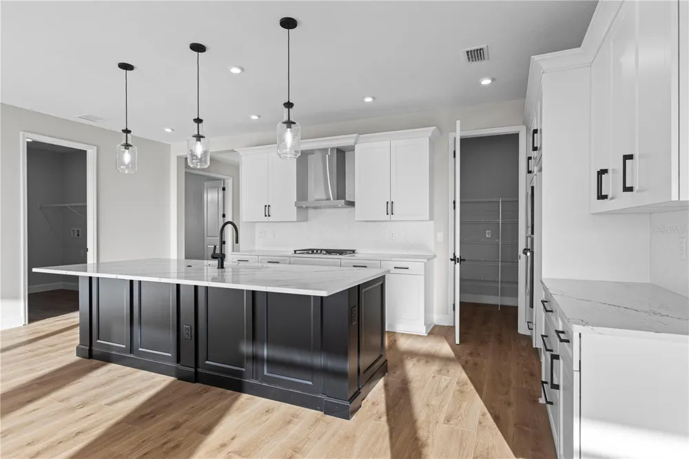 1617 BELLAGIO LOOP Tavares, FL 32778