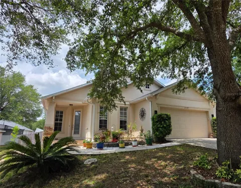 25147 IRONWEDGE DRIVE