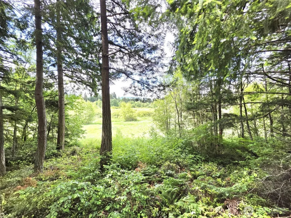 17743 Clear Lake Boulevard SE Yelm, WA 98597
