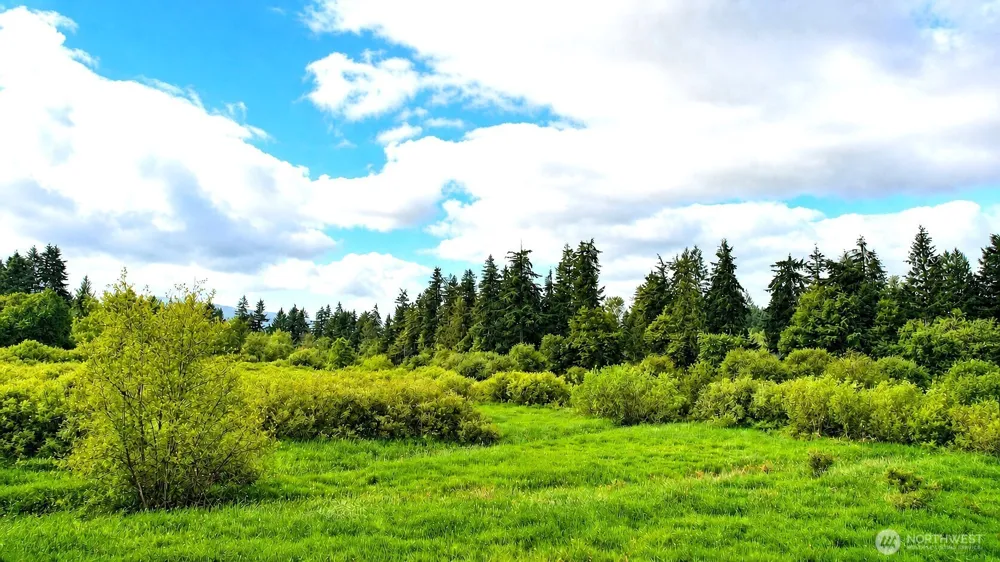 17743 Clear Lake Boulevard SE Yelm, WA 98597
