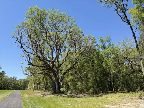 Irvine Acres #5 (13ac) W HWY 318
