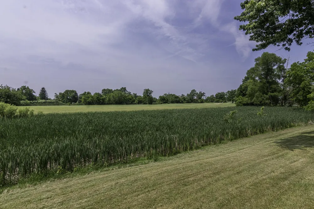 6125 W X Y AVENUE Prairie Ronde Township, MI 49087