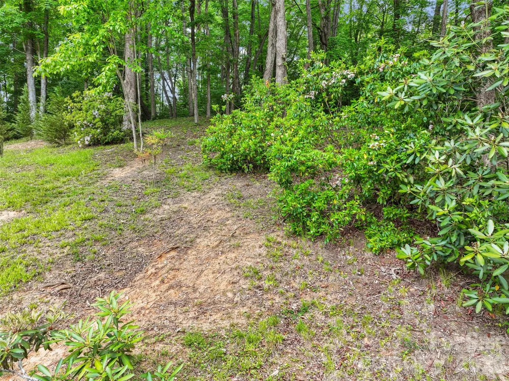 125 Harris Circle Sylva, NC 28779