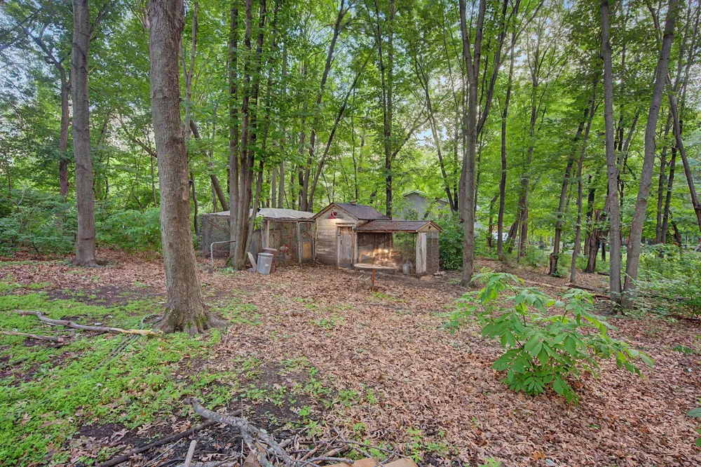 17356 Hiawatha Beach Drive NE Ham Lake, MN 55304