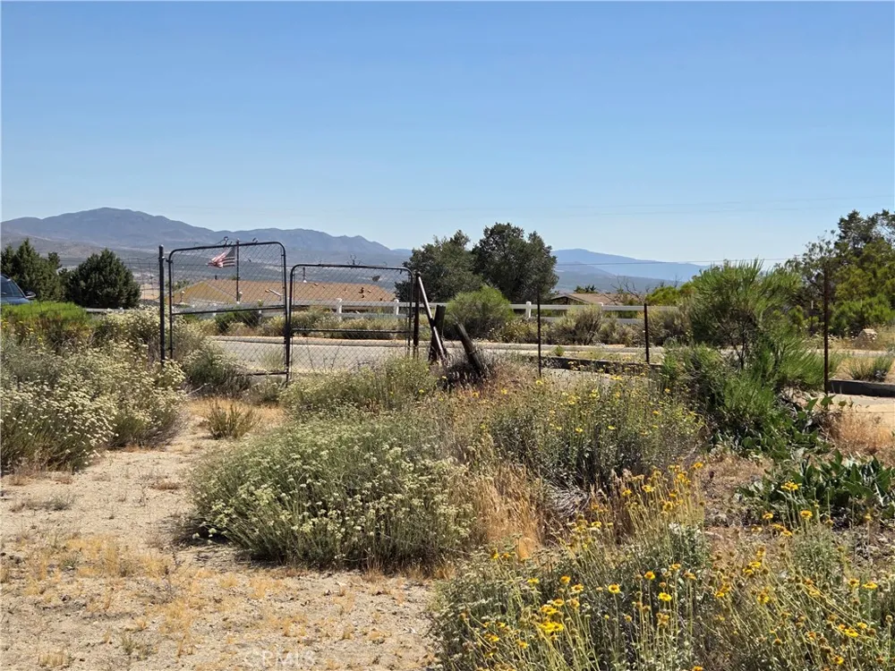 37210 Bohlen Anza, CA 92539