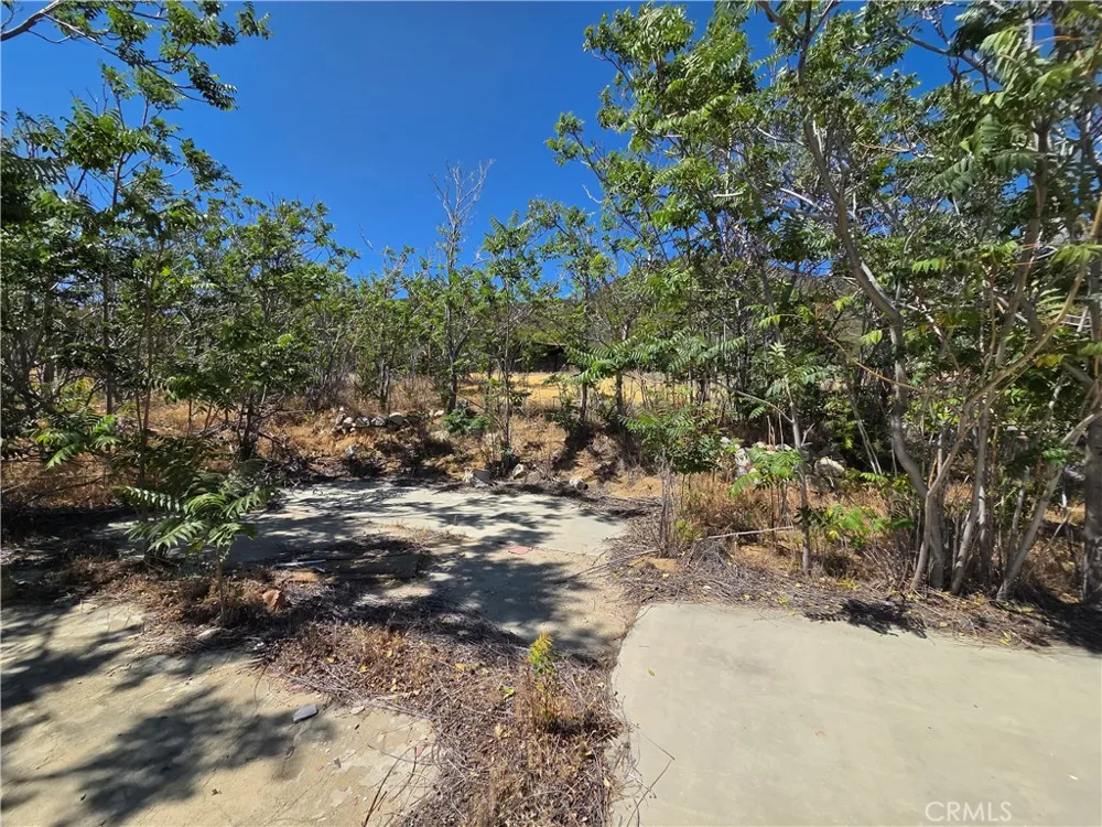37210 Bohlen Anza, CA 92539