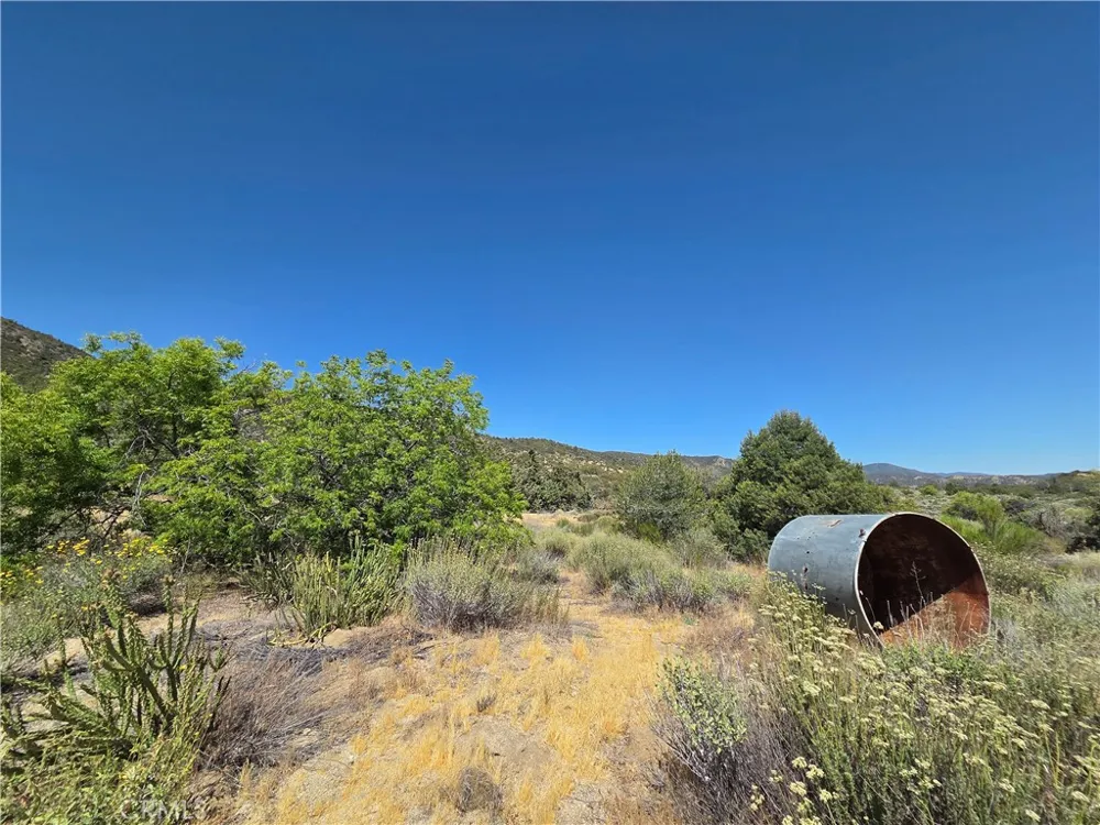 37210 Bohlen Anza, CA 92539