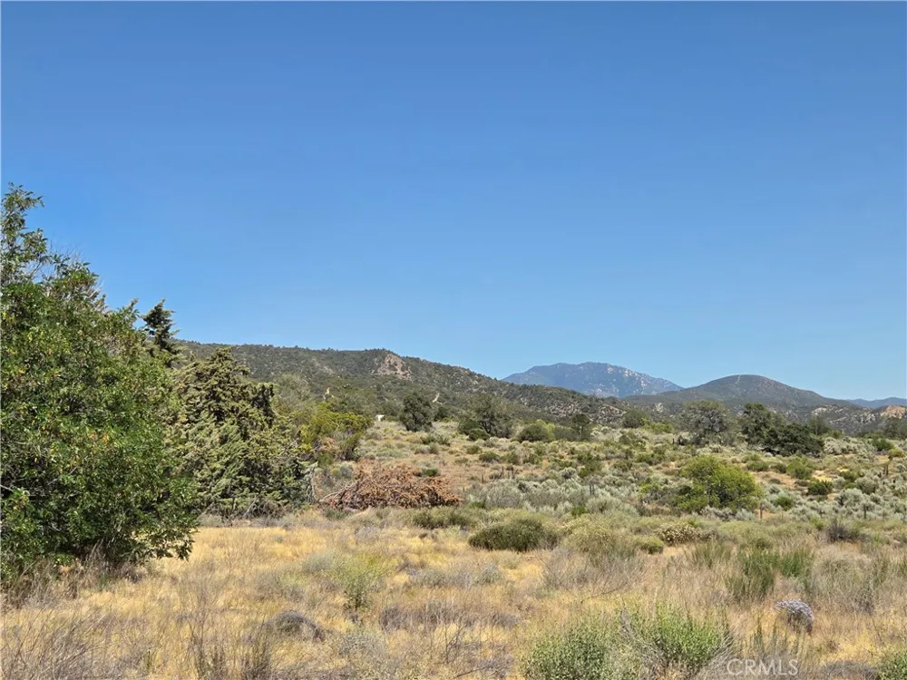 37210 Bohlen Anza, CA 92539
