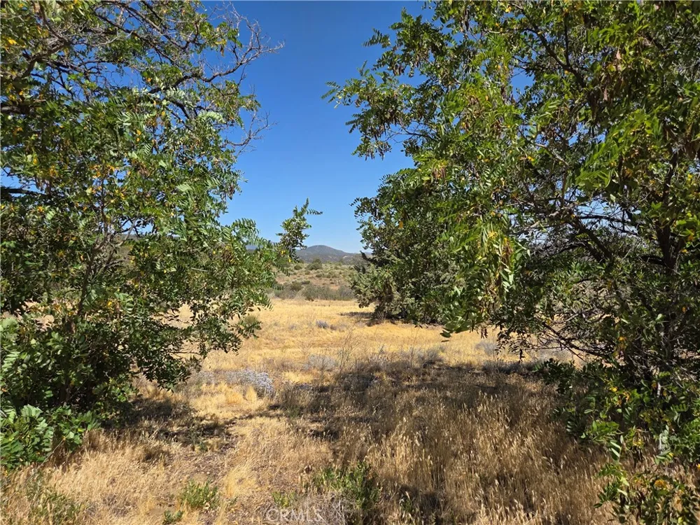 37210 Bohlen Anza, CA 92539