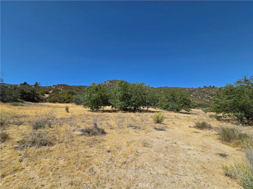 37210 Bohlen Anza, CA 92539