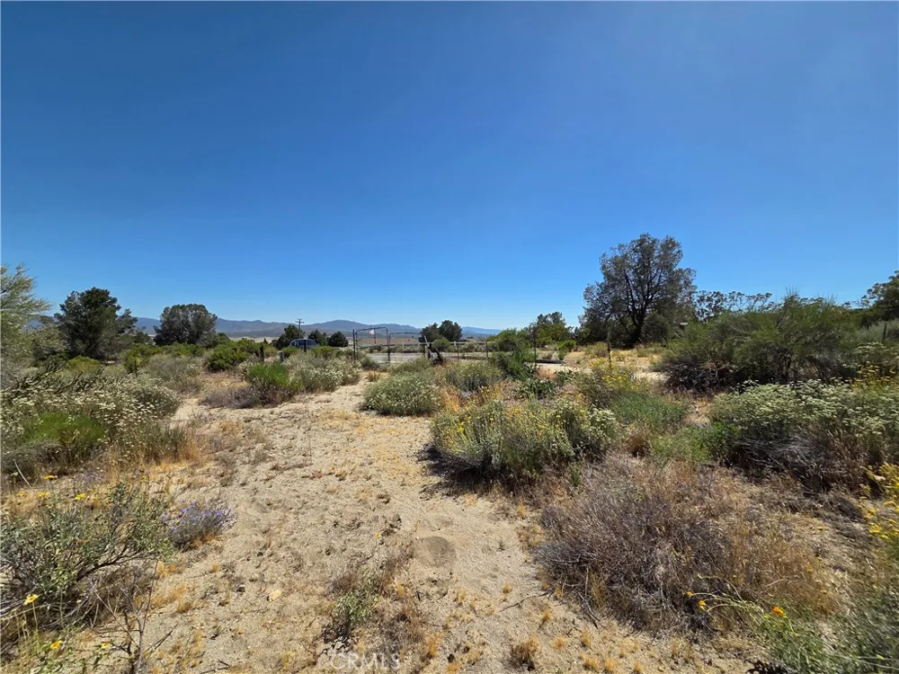 37210 Bohlen Anza, CA 92539