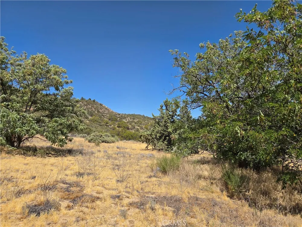 37210 Bohlen Anza, CA 92539