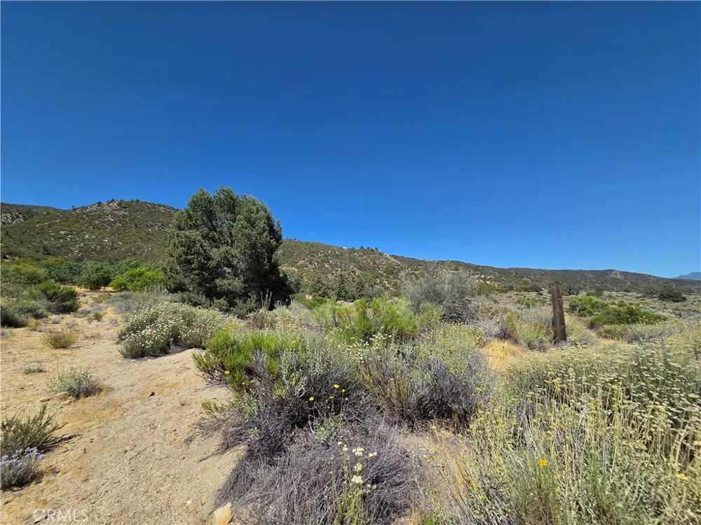 37210 Bohlen Anza, CA 92539