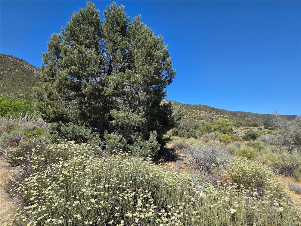 37210 Bohlen Anza, CA 92539