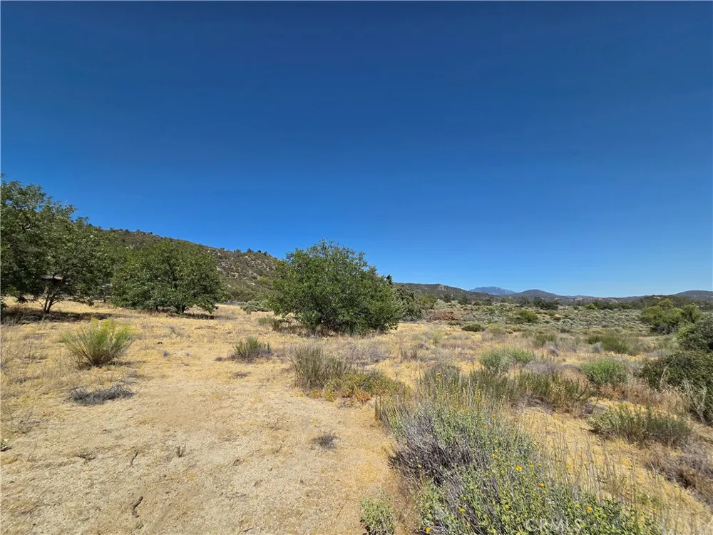 37210 Bohlen Anza, CA 92539