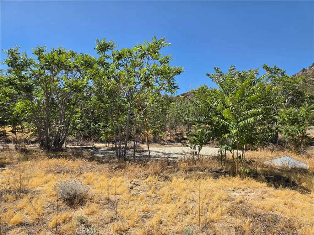 37210 Bohlen Anza, CA 92539