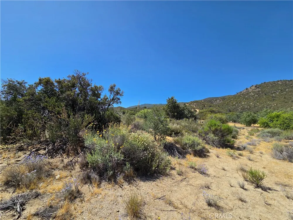 37210 Bohlen Anza, CA 92539